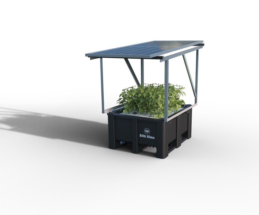 Détail du panneau solaire Solgarden intégré à une toiture végétalisée